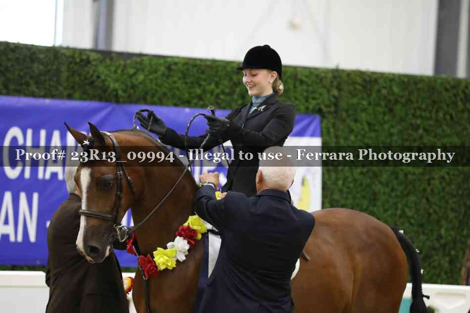Proof Number 23R13_09994