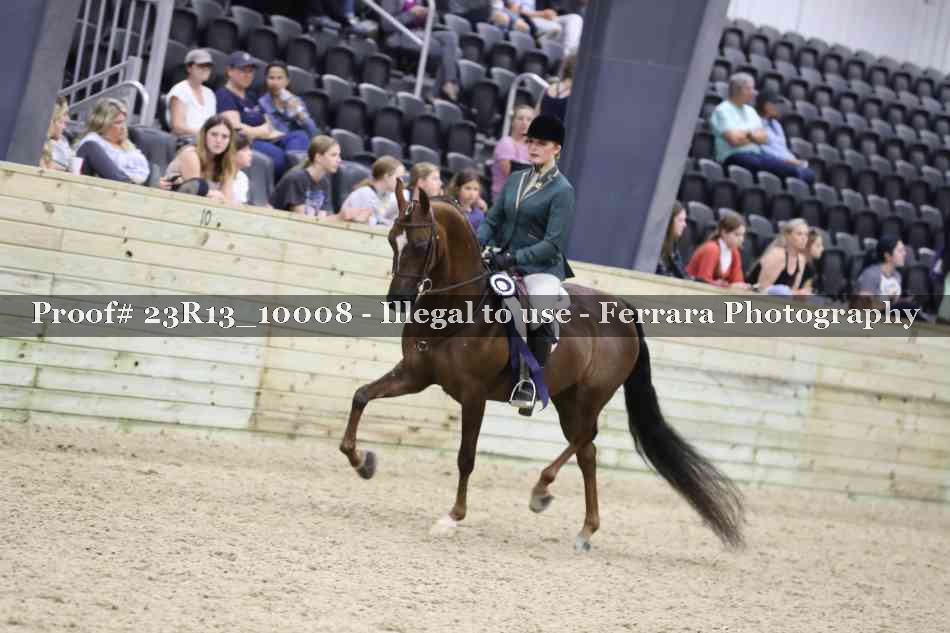 Proof Number 23R13_10008