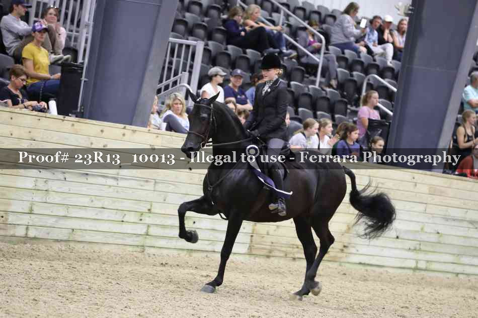 Proof Number 23R13_10013