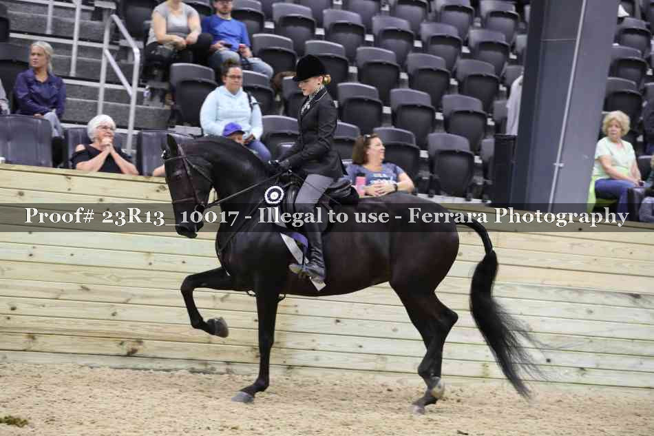 Proof Number 23R13_10017