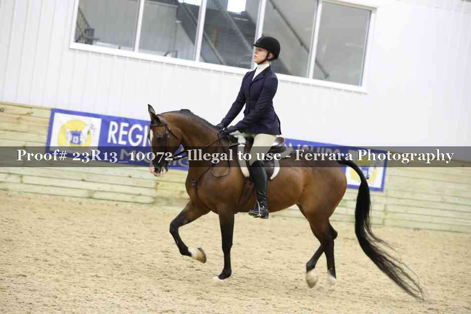 Proof Number 23R13_10072