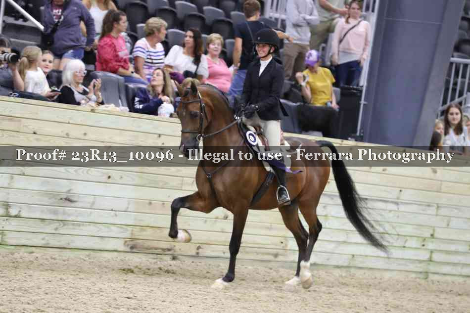 Proof Number 23R13_10096