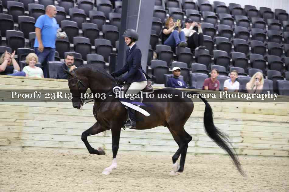 Proof Number 23R13_10103