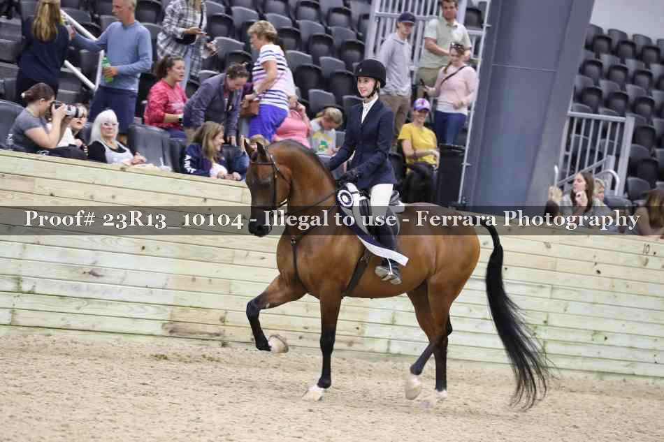 Proof Number 23R13_10104