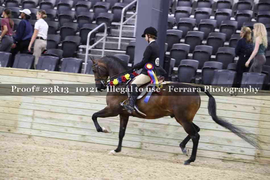 Proof Number 23R13_10121
