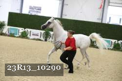 23R13_10290 thumbnail
