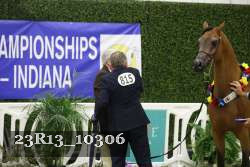 23R13_10306 thumbnail