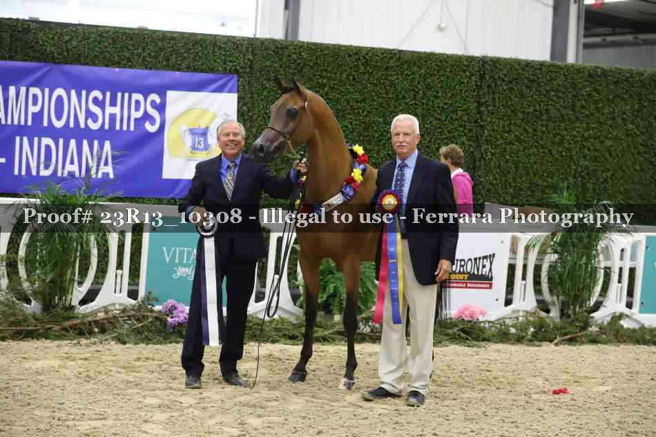 Proof Number 23R13_10308