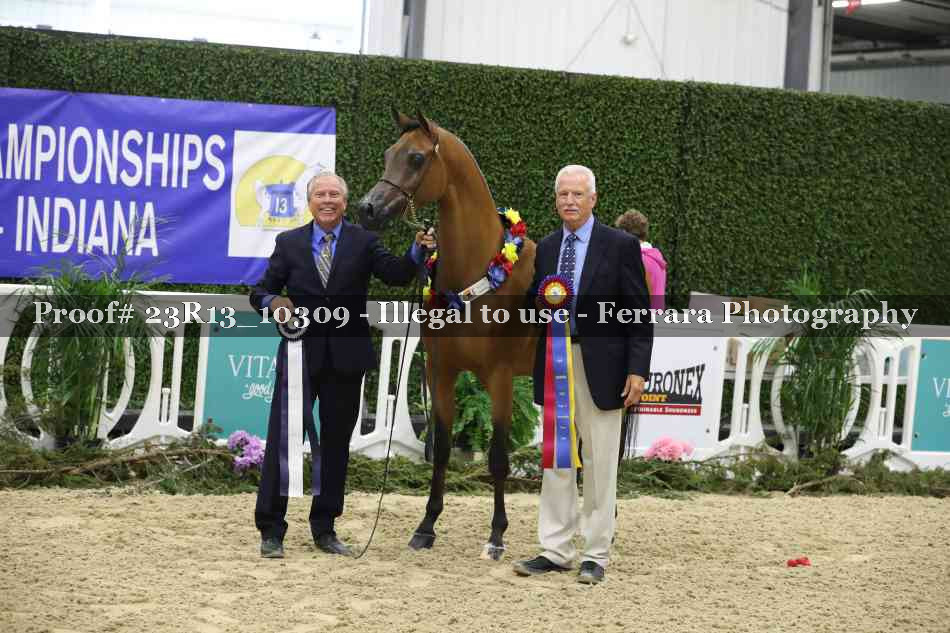 Proof Number 23R13_10309