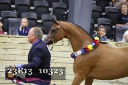 23R13_10323 thumbnail