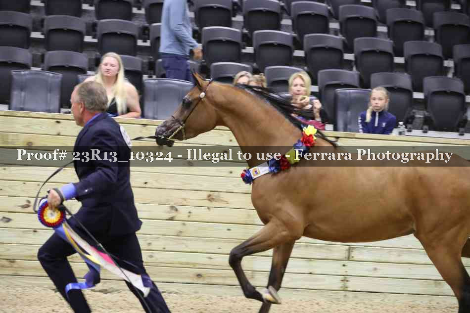 Proof Number 23R13_10324