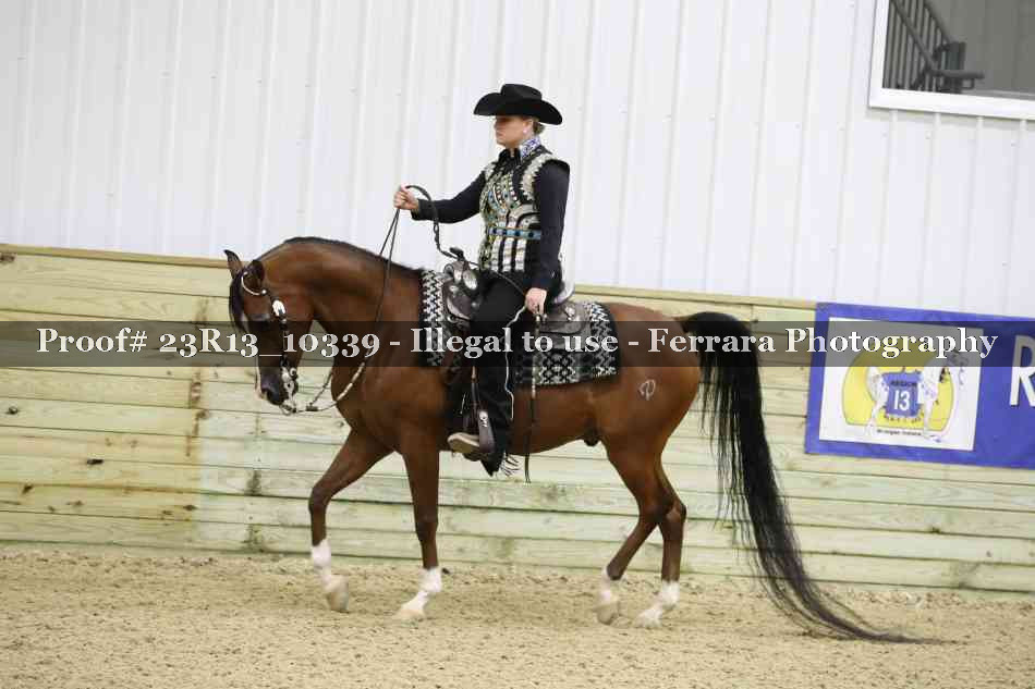 Proof Number 23R13_10339