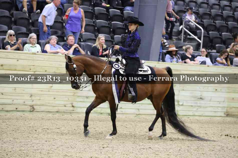 Proof Number 23R13_10351