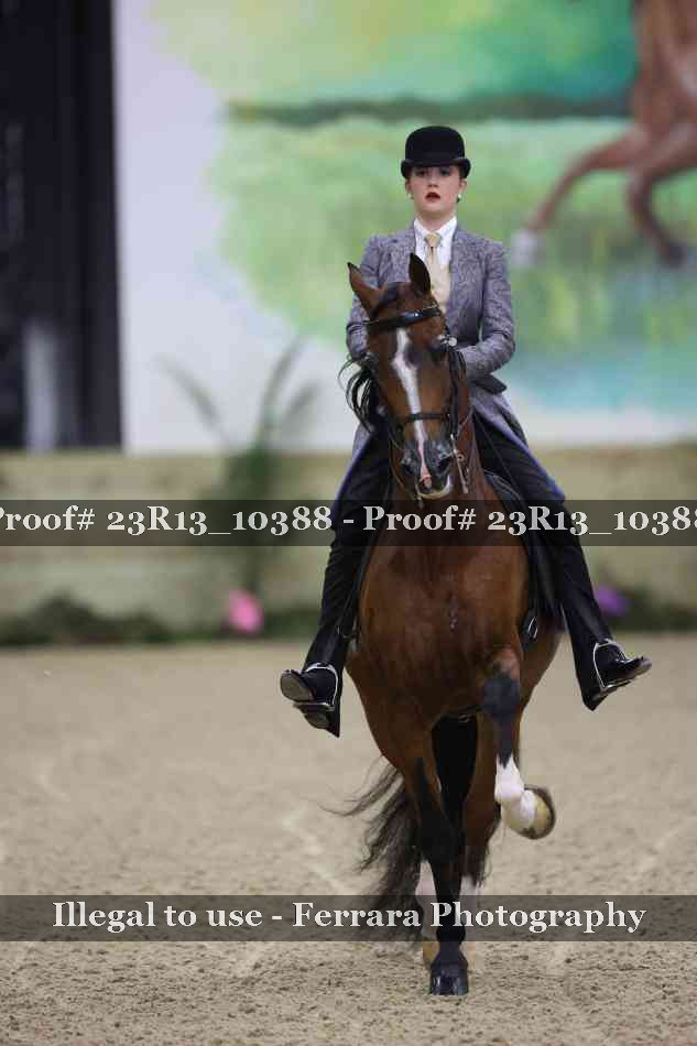 Proof Number 23R13_10388
