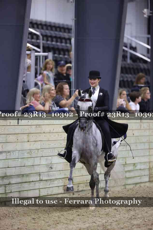 Proof Number 23R13_10392