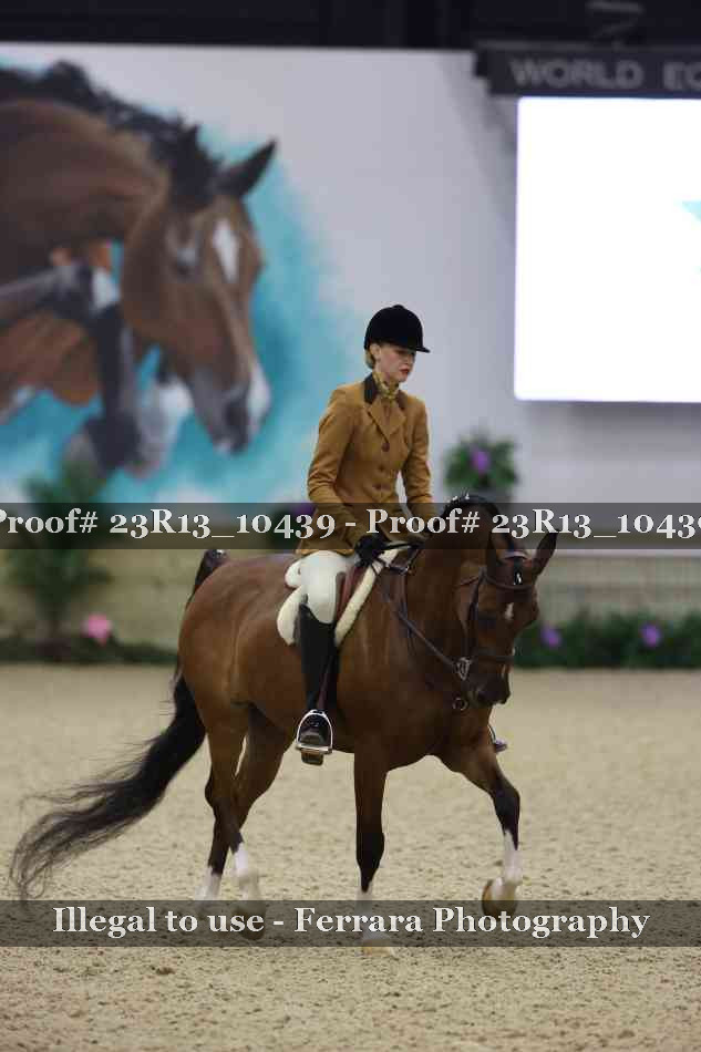 Proof Number 23R13_10439
