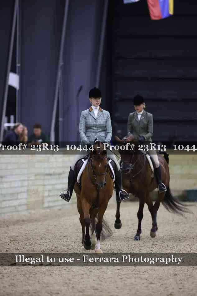 Proof Number 23R13_10444