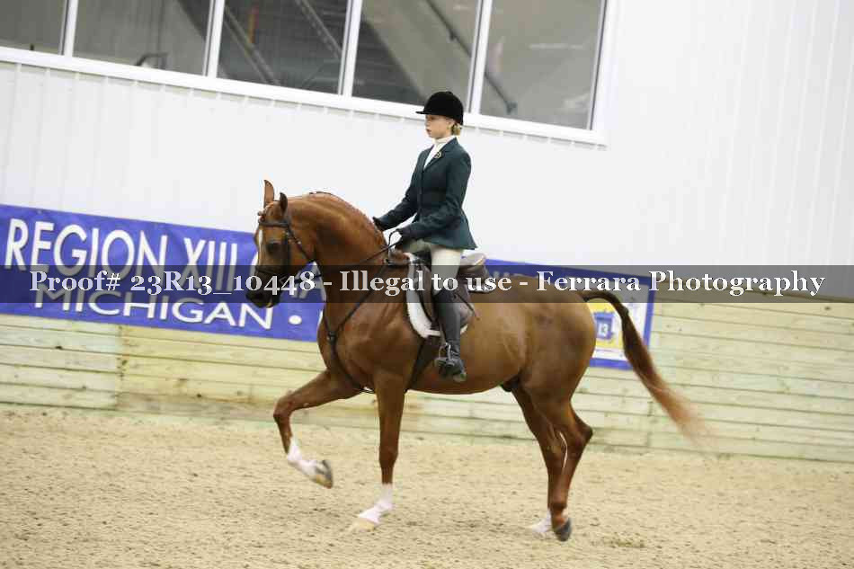 Proof Number 23R13_10448