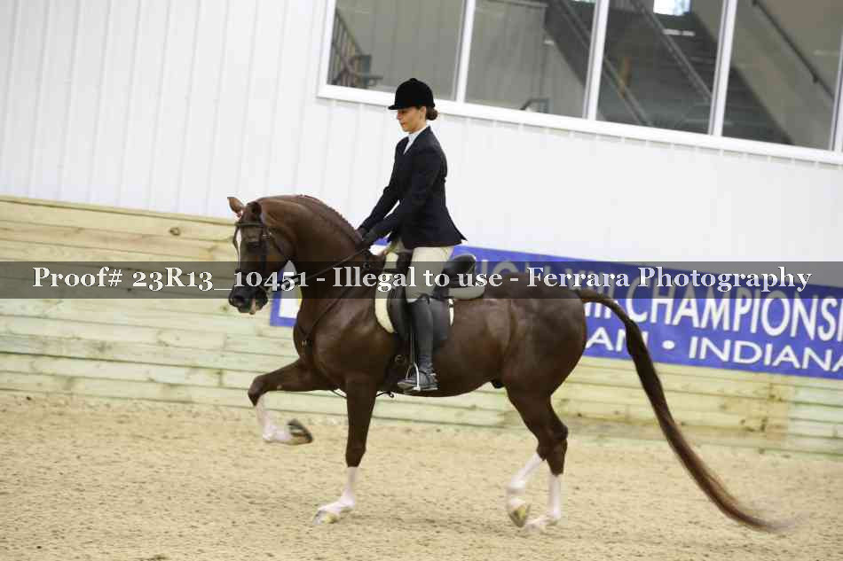 Proof Number 23R13_10451