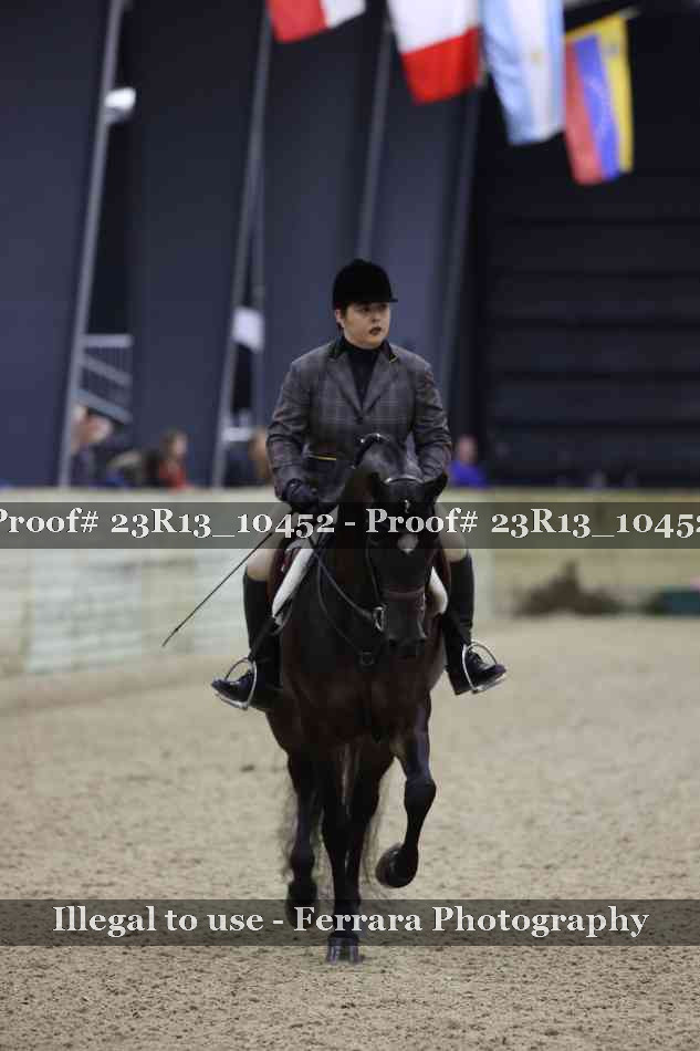 Proof Number 23R13_10452