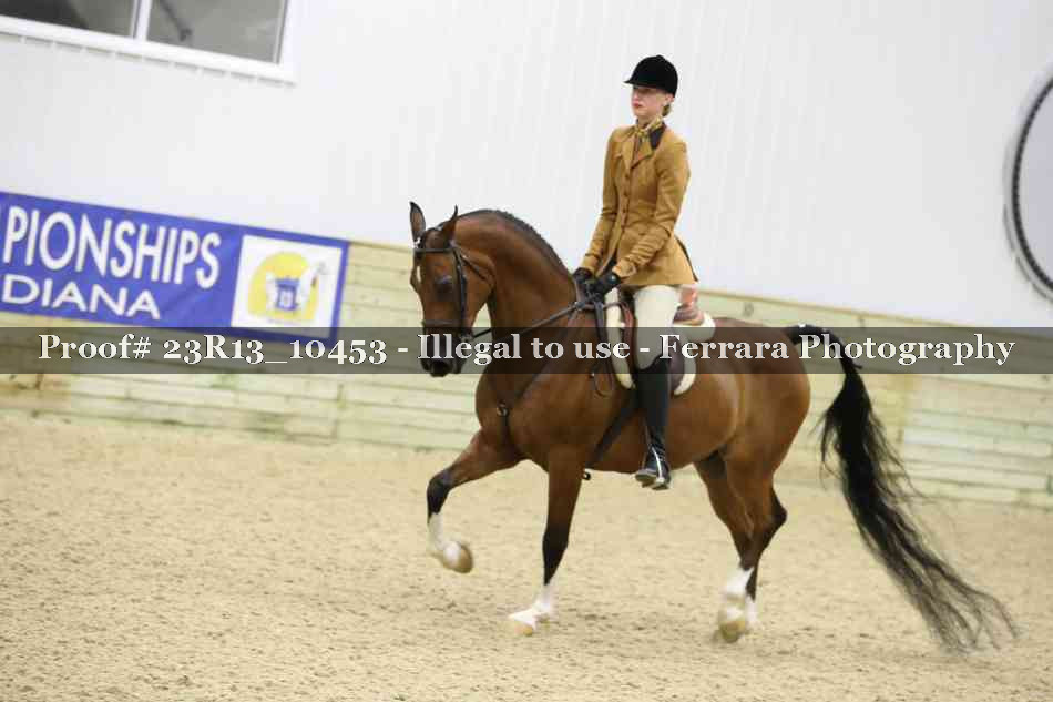 Proof Number 23R13_10453