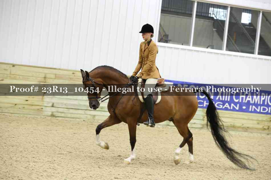 Proof Number 23R13_10454