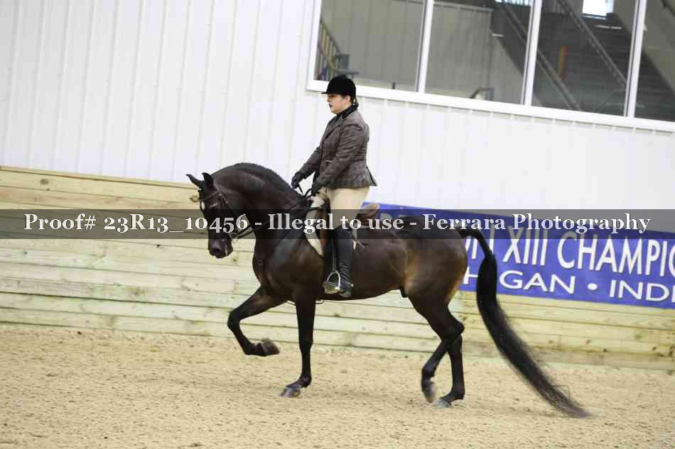Proof Number 23R13_10456