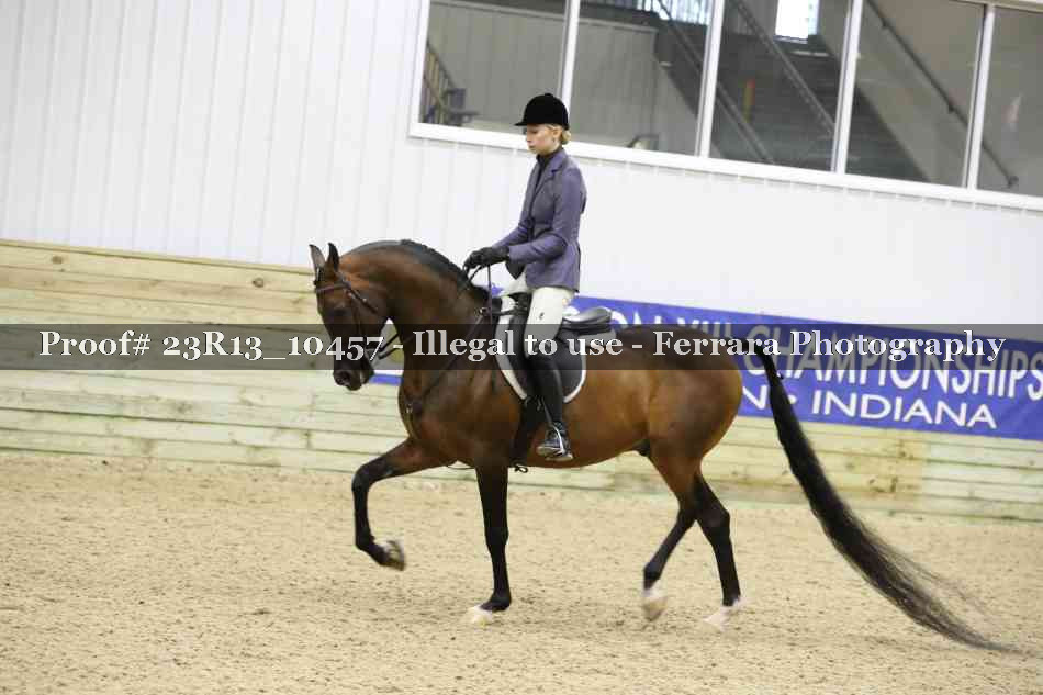 Proof Number 23R13_10457