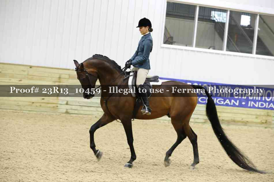 Proof Number 23R13_10459