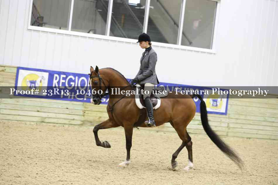 Proof Number 23R13_10460