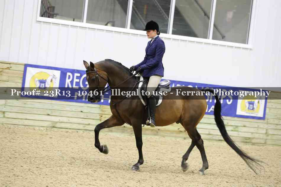 Proof Number 23R13_10461