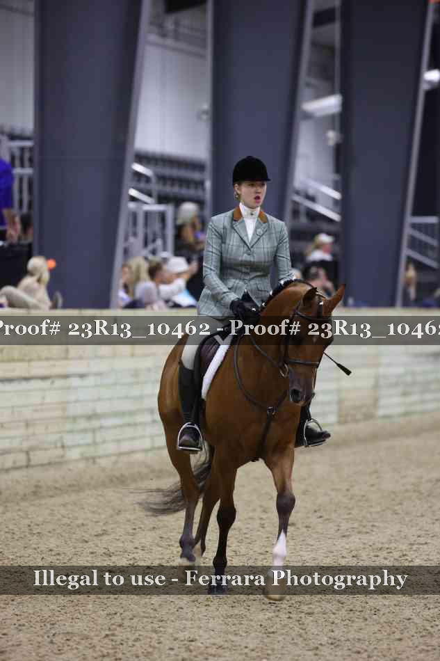 Proof Number 23R13_10462