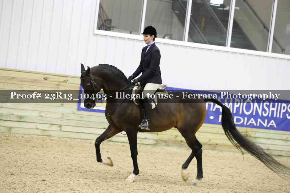 Proof Number 23R13_10463