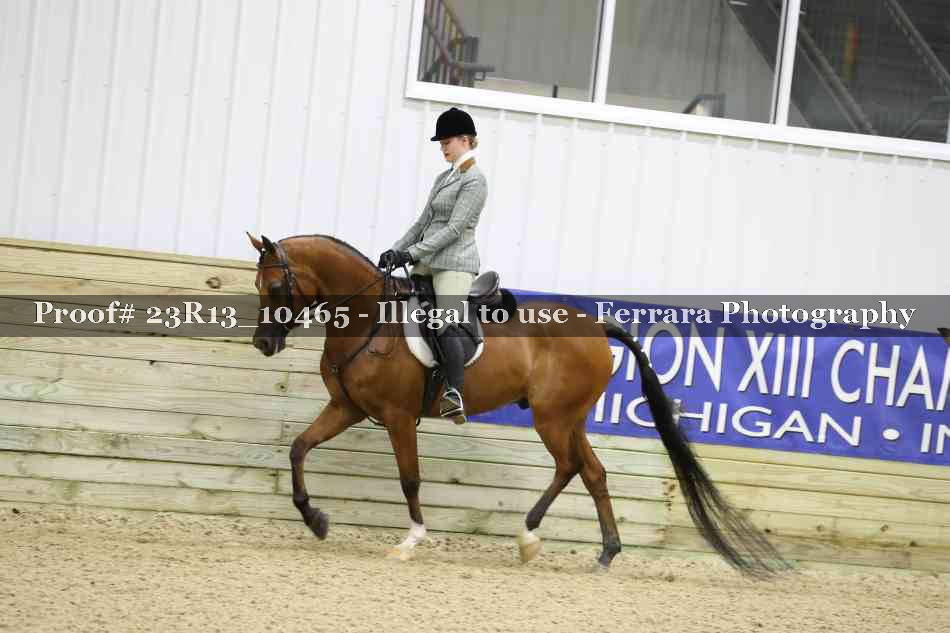 Proof Number 23R13_10465