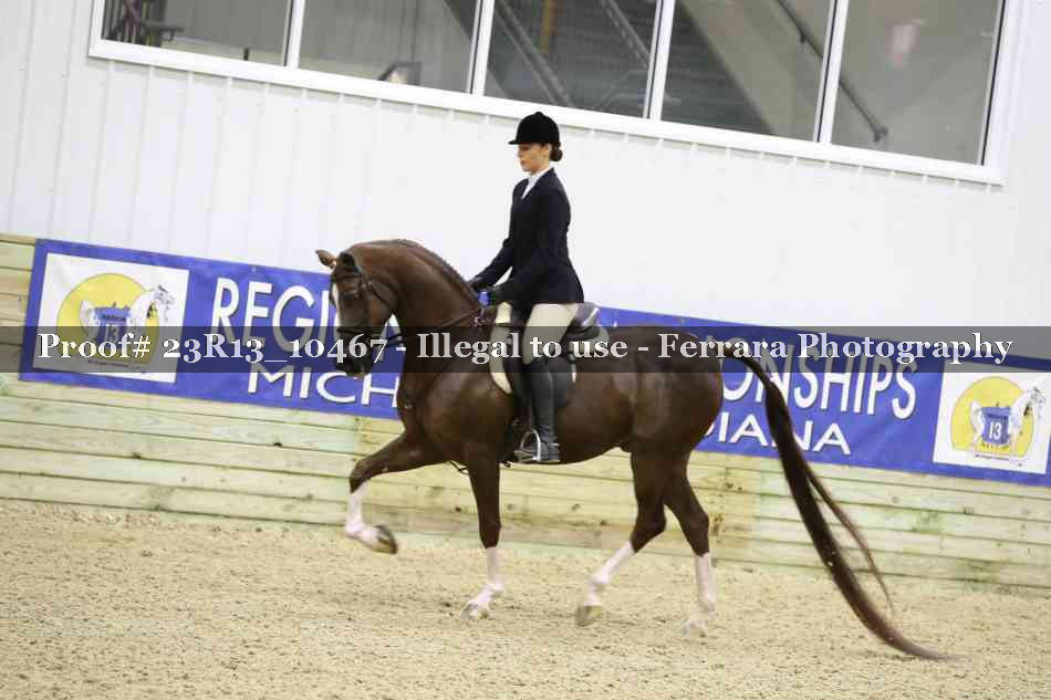 Proof Number 23R13_10467