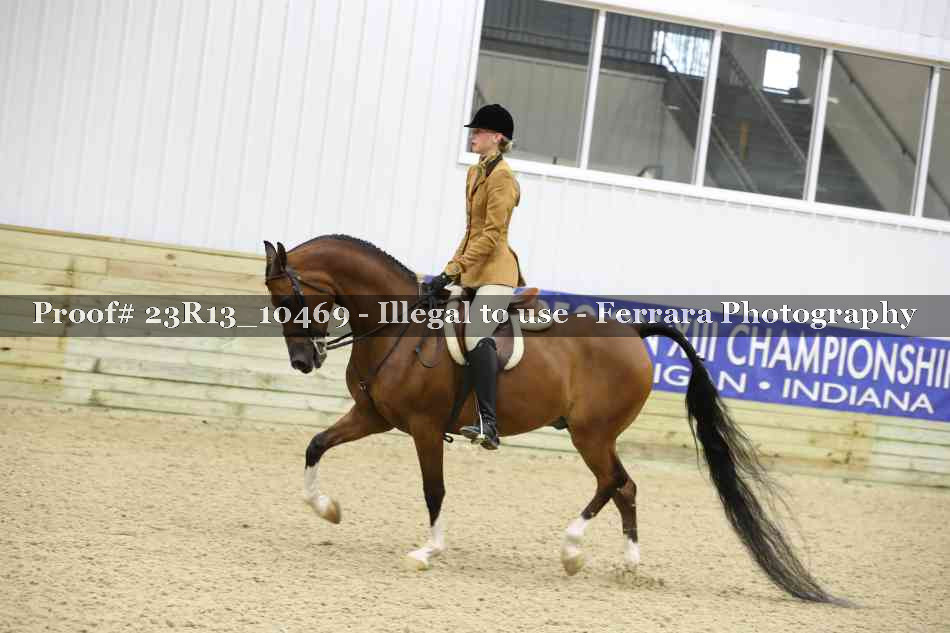 Proof Number 23R13_10469