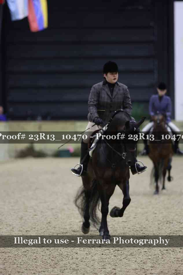 Proof Number 23R13_10470