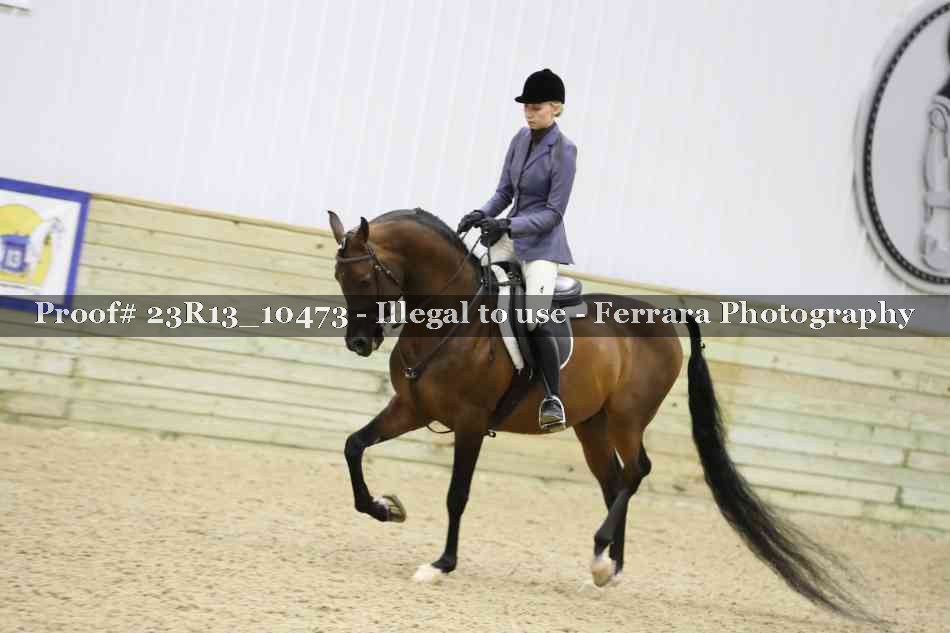 Proof Number 23R13_10473