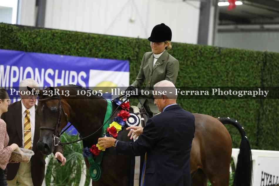 Proof Number 23R13_10505