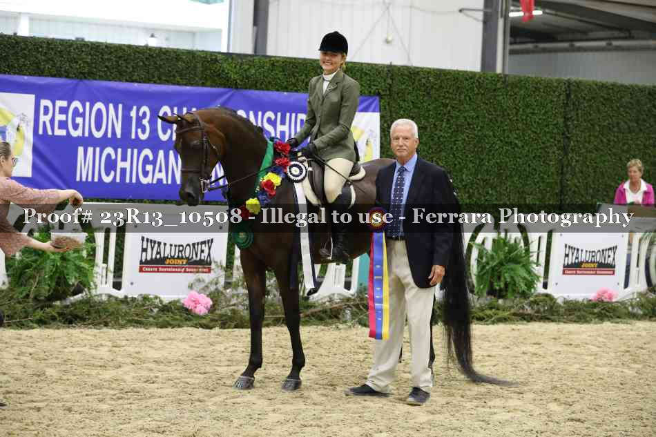Proof Number 23R13_10508