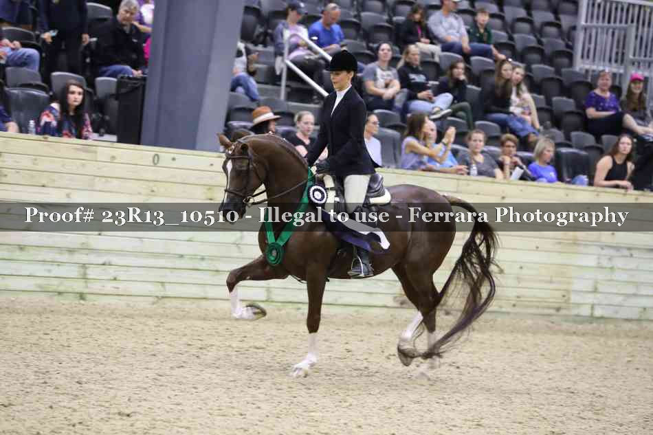 Proof Number 23R13_10510