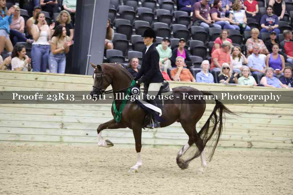 Proof Number 23R13_10511
