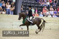 23R13_10511 thumbnail