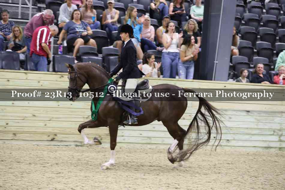 Proof Number 23R13_10512