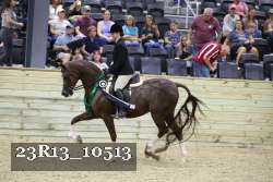 23R13_10513 thumbnail