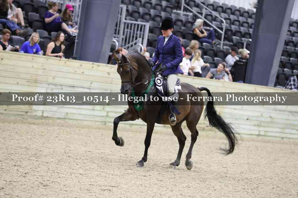Proof Number 23R13_10514