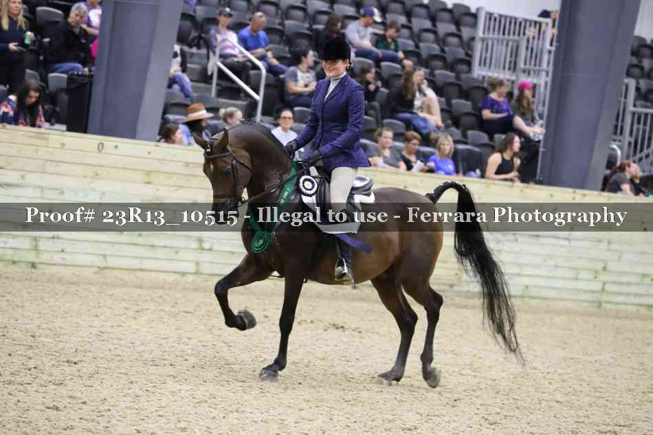 Proof Number 23R13_10515
