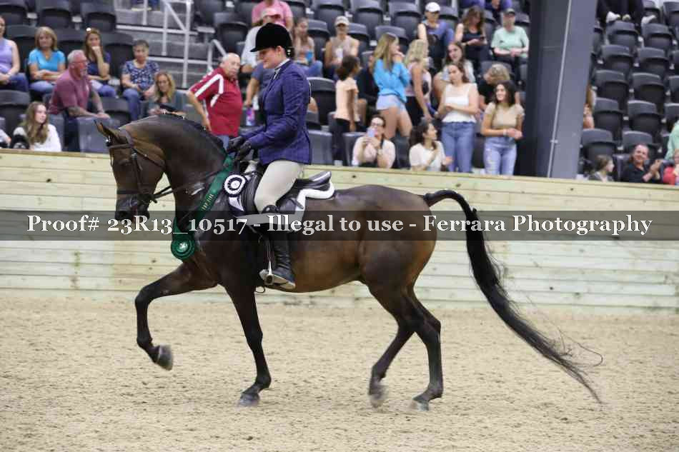Proof Number 23R13_10517