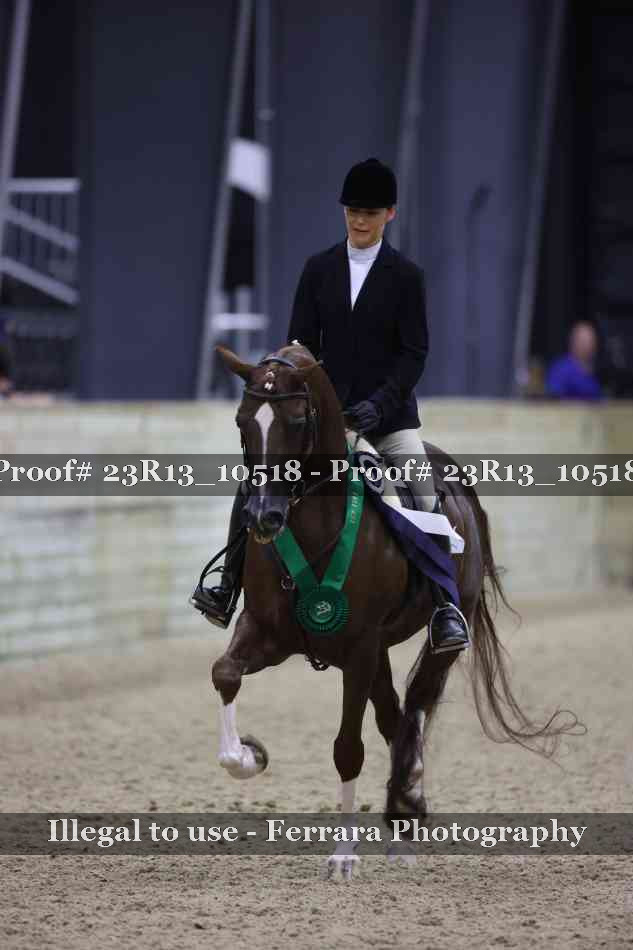 Proof Number 23R13_10518