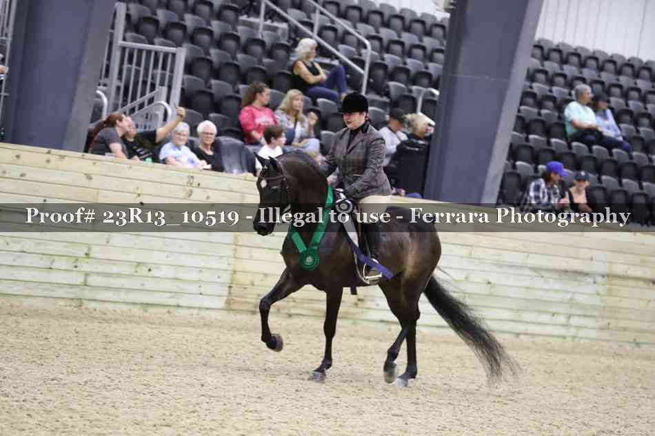 Proof Number 23R13_10519